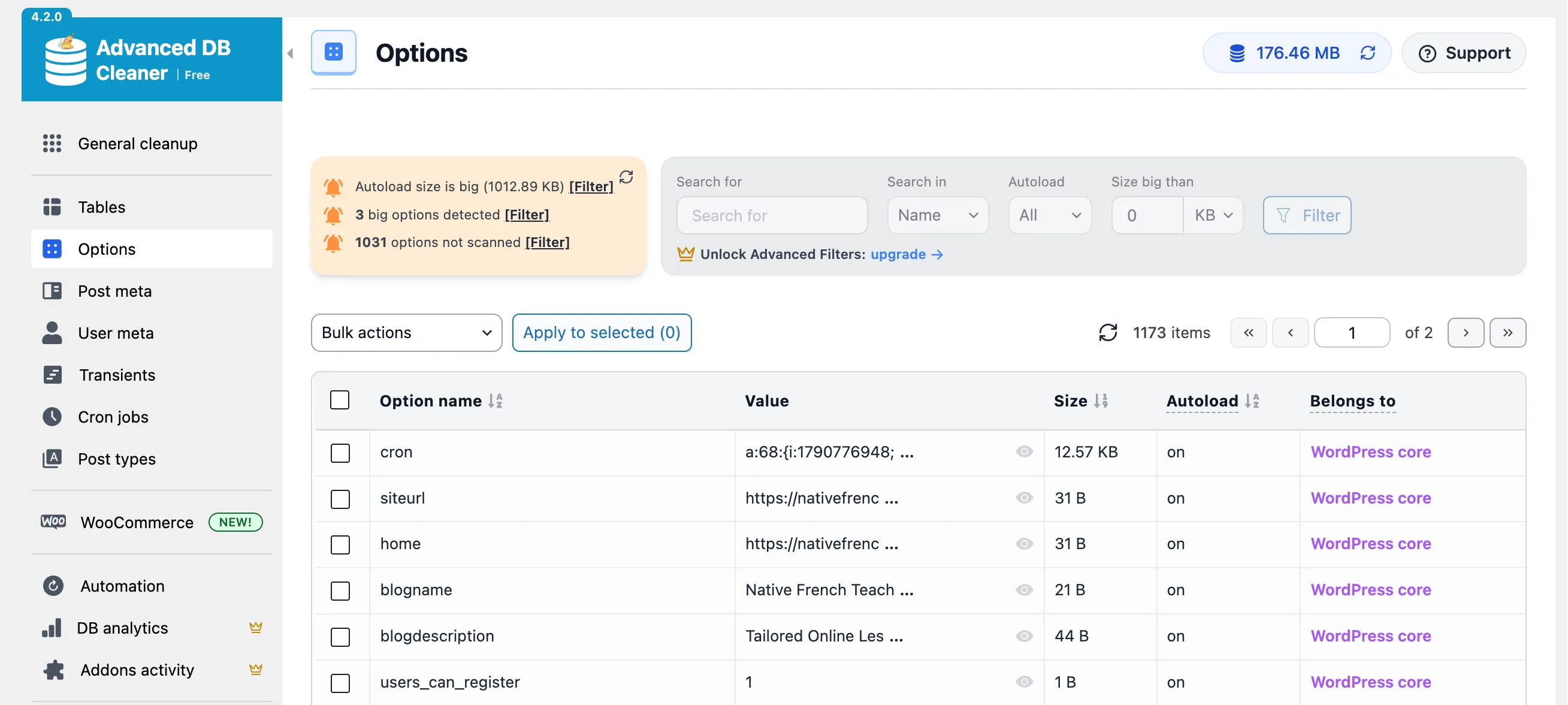Advanced DB Cleaner with Astra: autoload size is big, 1012.89 KB, 3 big options