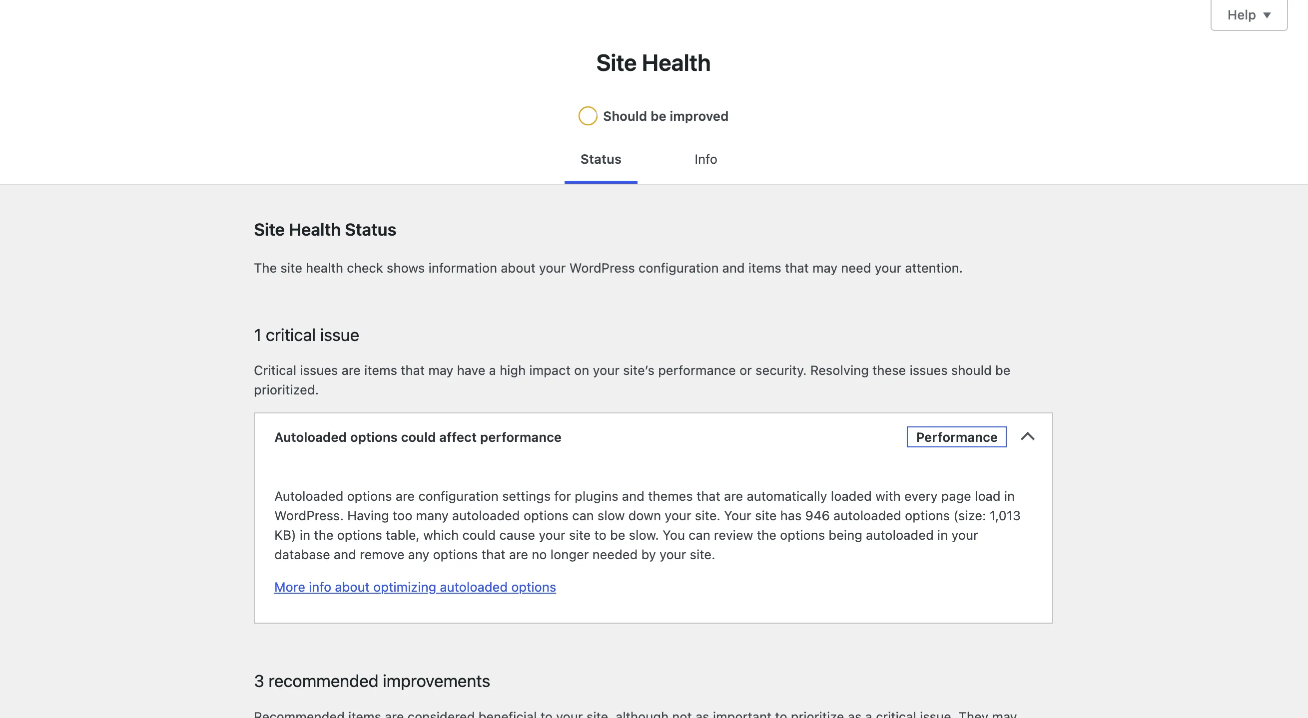 Site Health with Astra: should be improved, autoloaded options critical issue