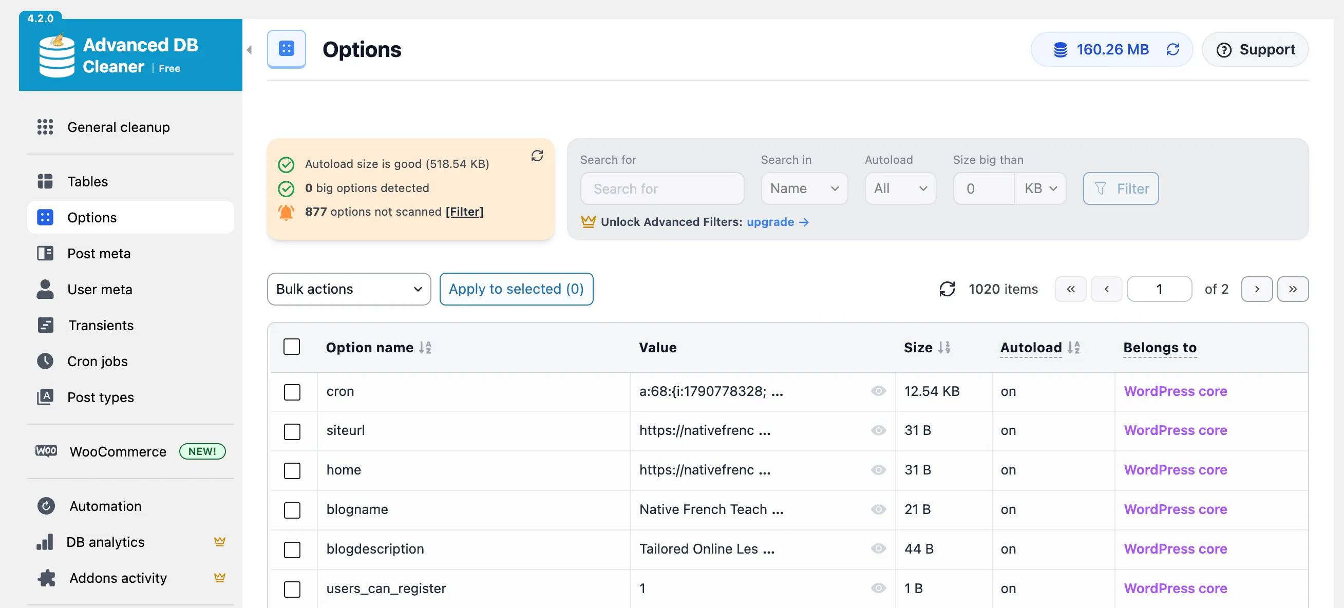 Advanced DB Cleaner with Twenty Twenty-Five: autoload size is good, 518.54 KB, 0 big options